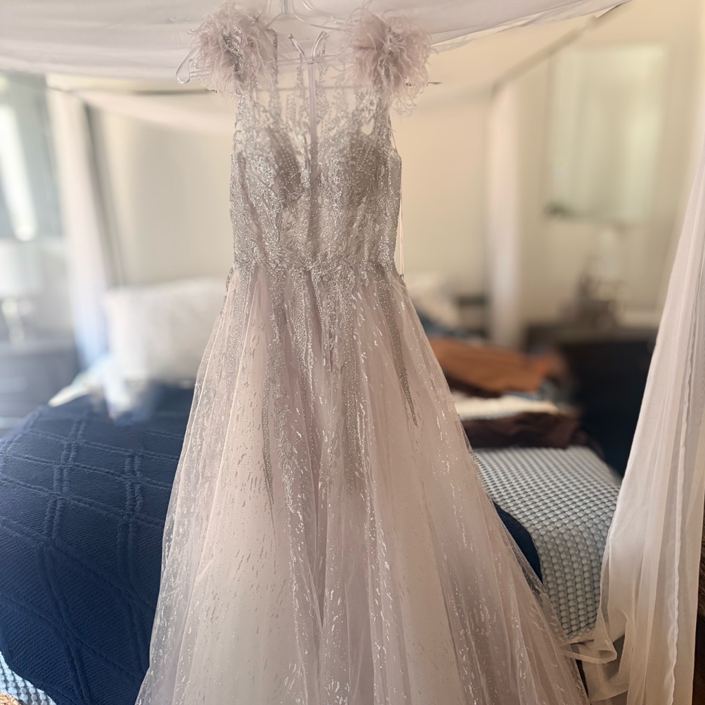 Cinderella Divine Silver Gown